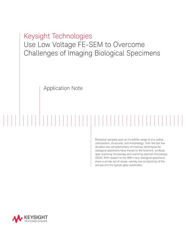 Use FE-SEM to Overcome Challenges of Biological Imaging
