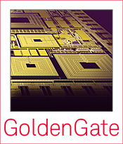 GoldenGate RFIC Simulation Software
