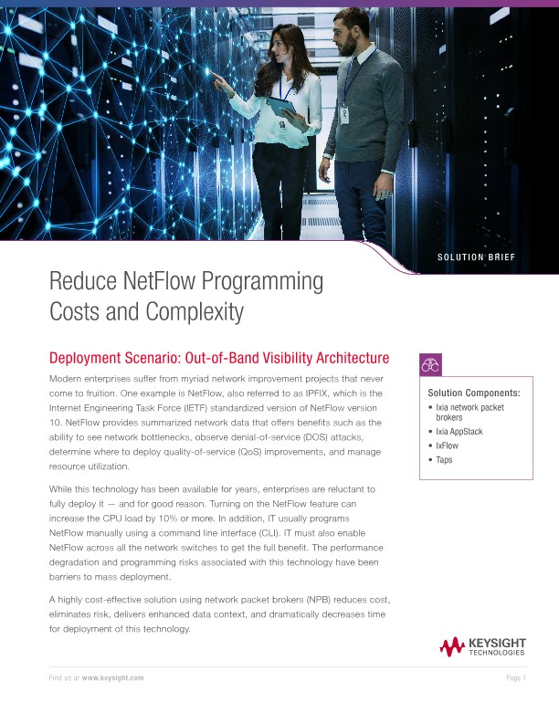 Reduce NetFlow Programming Costs and Complexity