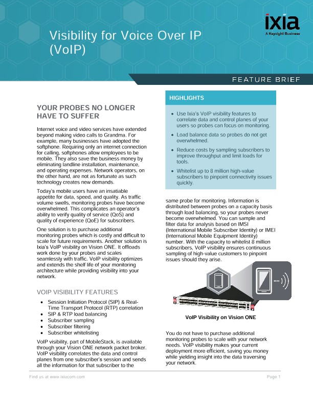 Visibility for Voice Over IP (VoIP)