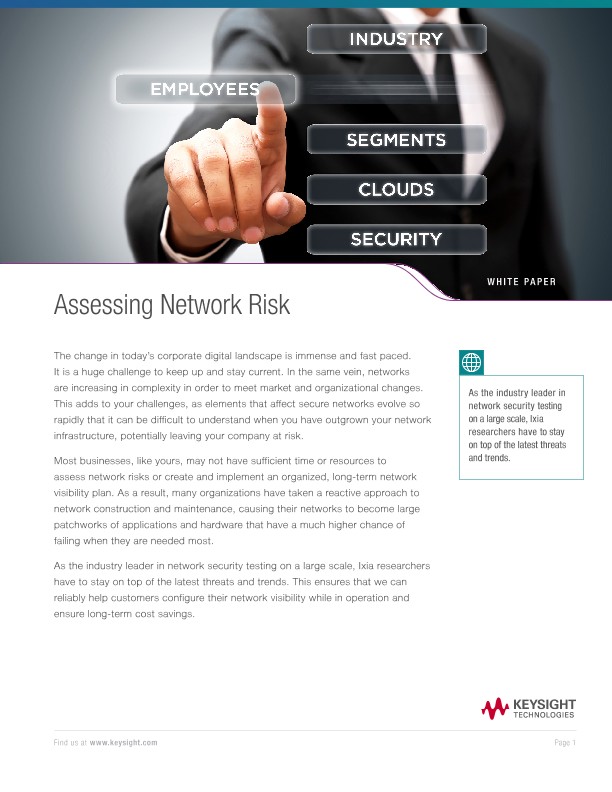 Assessing Network Risk