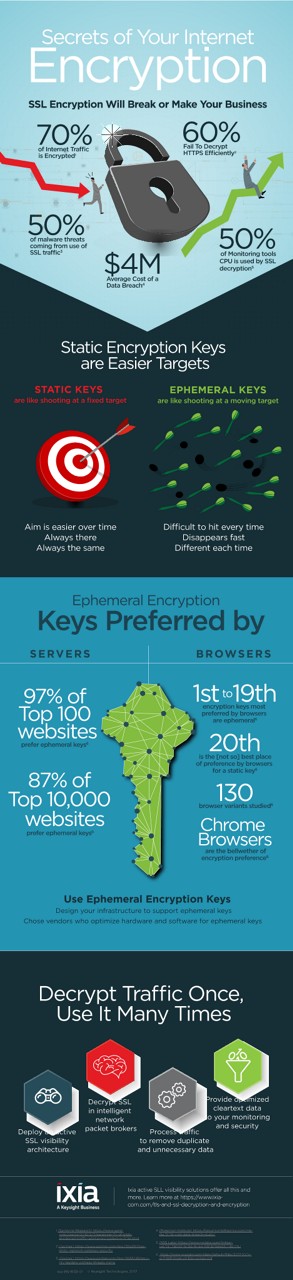 Secrets of Your Internet Encryption