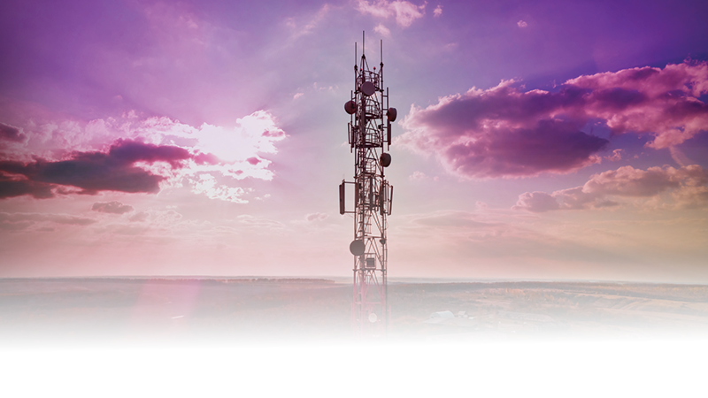 Rogue Base Station Detection