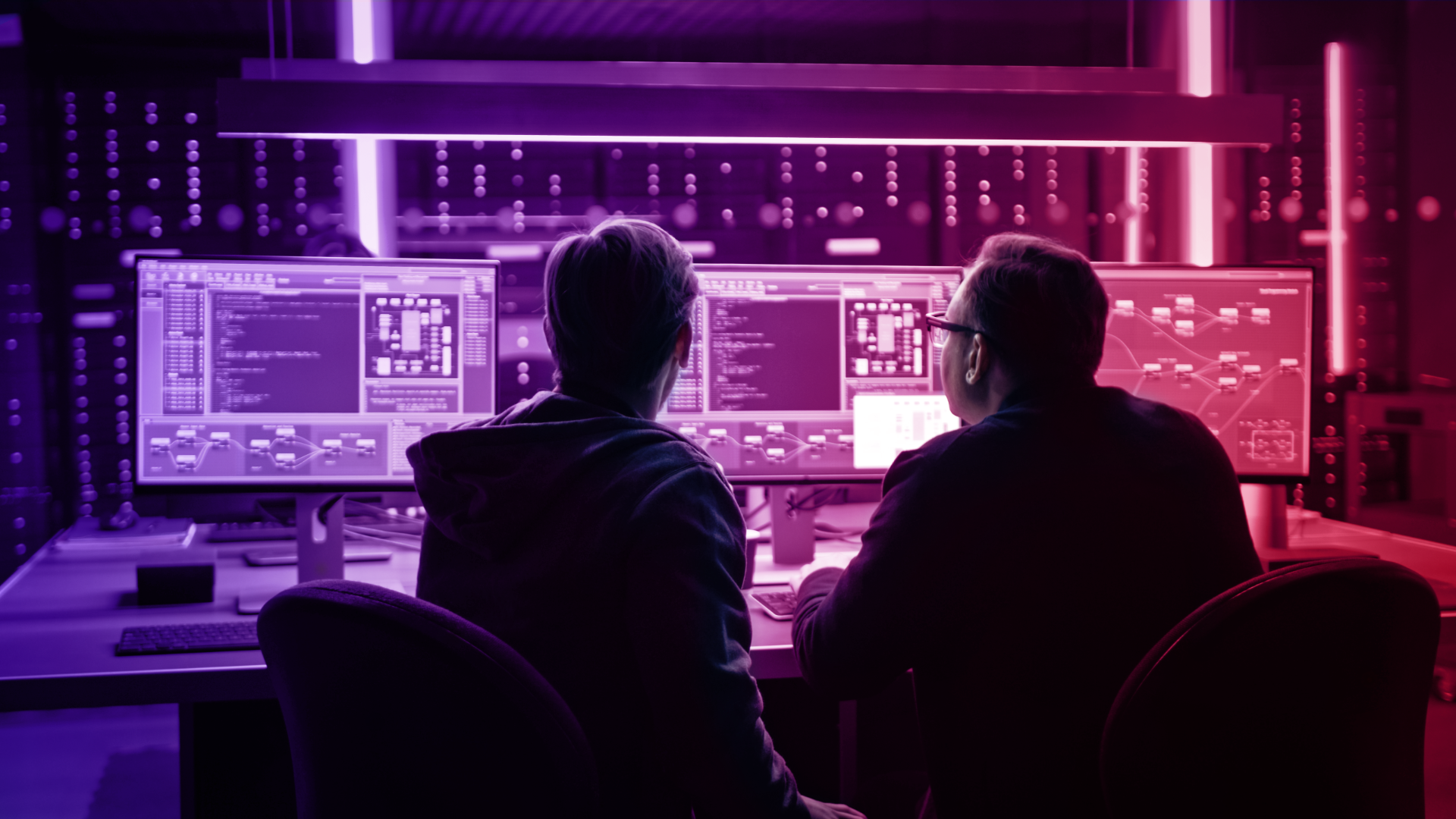 two evaluators working with software