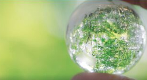 See Clearer: Preventing Blind Spots with Lossless Network Visibility