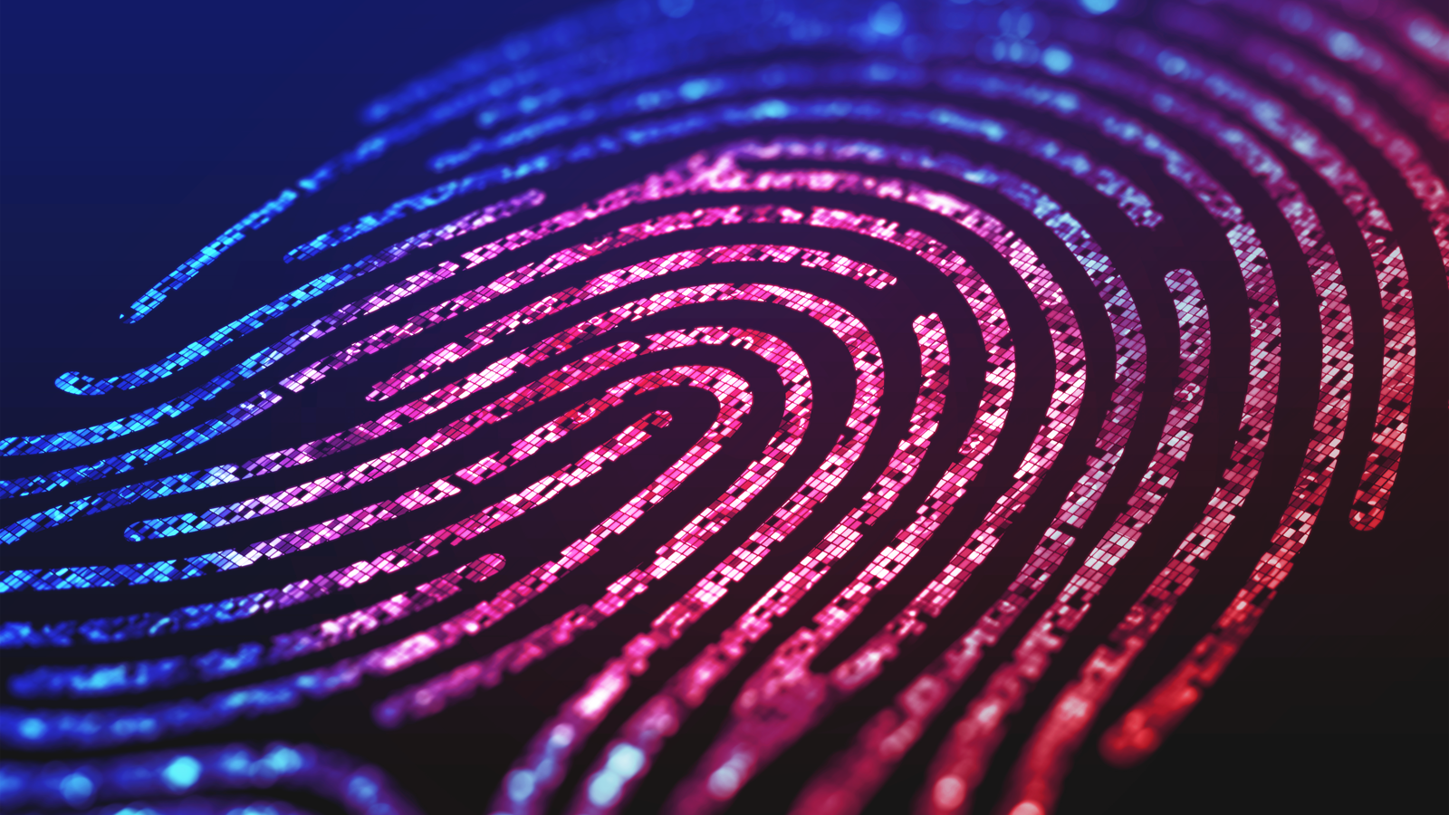 Fingerprint