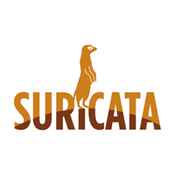 Suricata