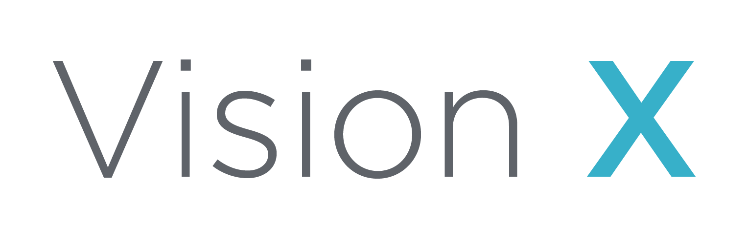 vision x logo